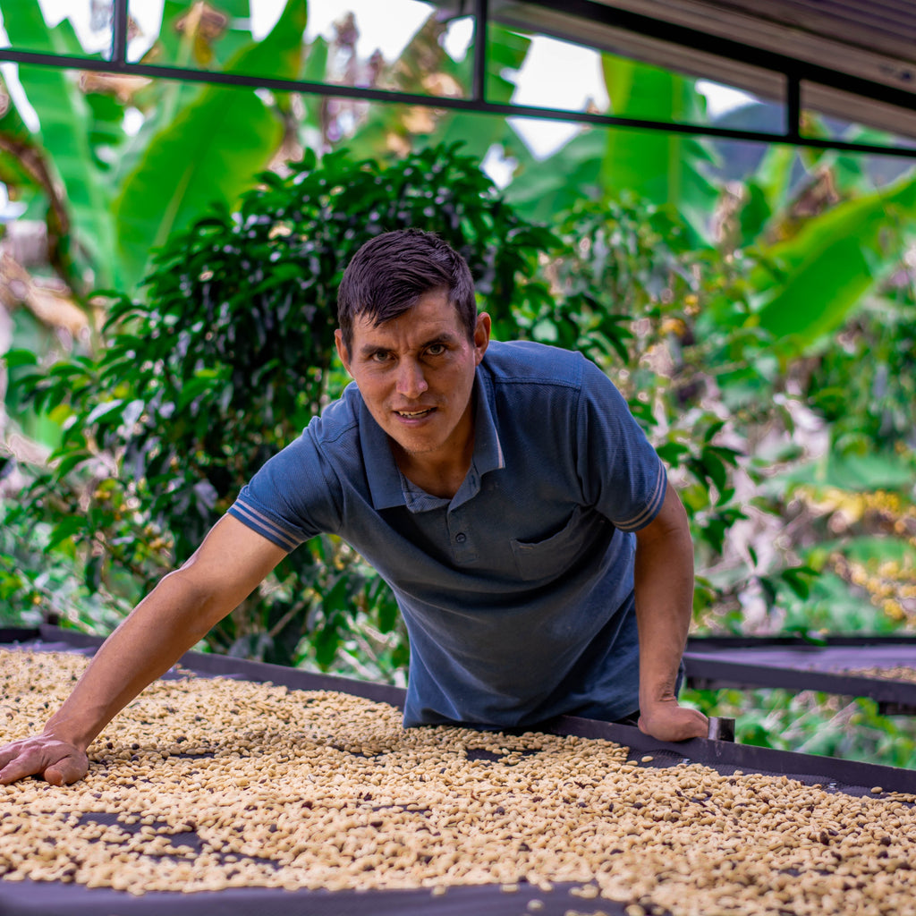 La Babilla – Was dieser Kaffee über die neue Generation peruanischer Produzent:innen erzählt