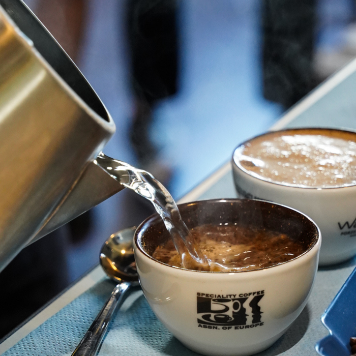 Coffee Cuppings in English