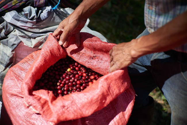 Finca Montecristo Espresso