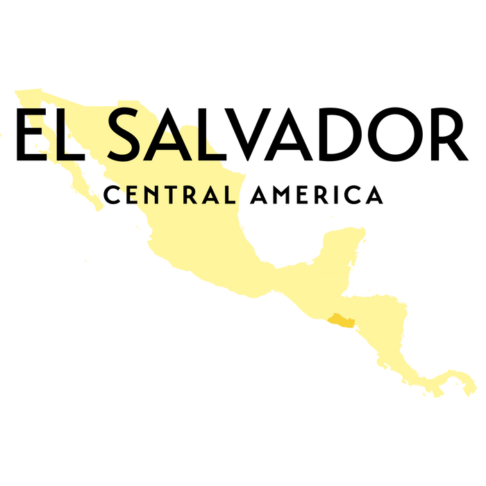 El Salvador Omniroast Kaffee von La Providenica, frisch gebrühter Kaffee in einer Tasse mit Kaffeebohnen im Hintergrund