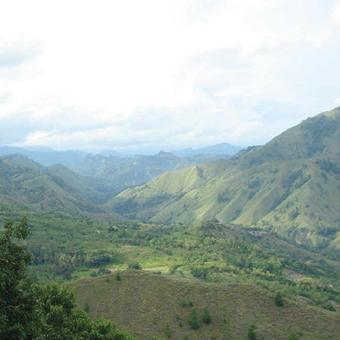 Kerinci Honey Espresso