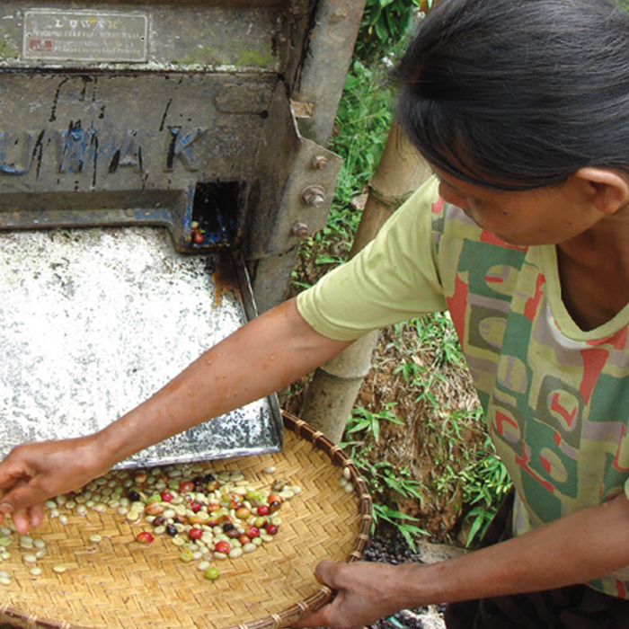 Kerinci Honey Filter